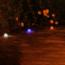 LED Solar Garden Light Waterproof Deck Lights, Dark Sensing Landscape Lights