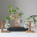 Set of 2 Decorative Clear Glass Planter Bulb Vases with Wood Holder Stand & Vase