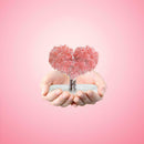 Magic Growing Tree Paper Crystal Trees Desktop Cherry Decorations Blossom