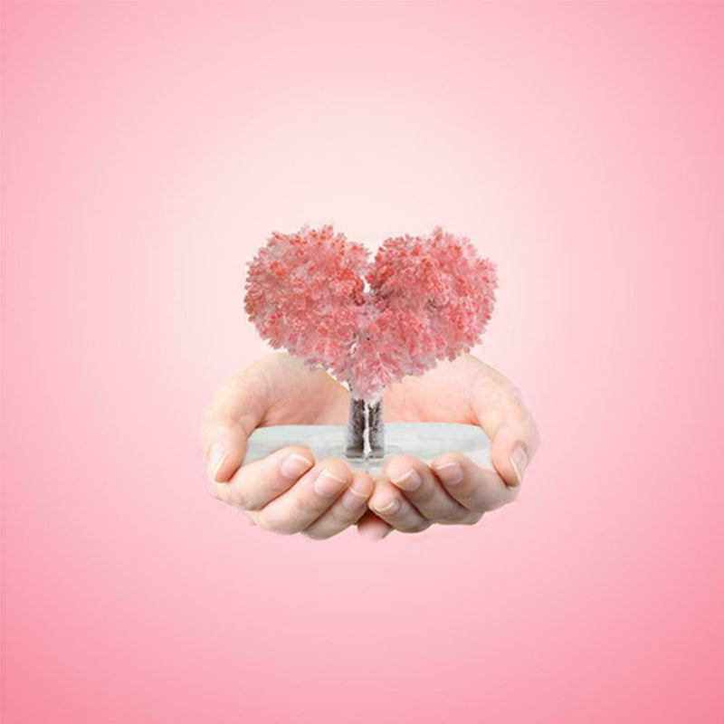 Magic Growing Tree Paper Crystal Trees Desktop Cherry Decorations Blossom
