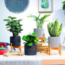 Retractable Indoor Plant Flower Pot Planter Stand Assembly Wood Holder Wood