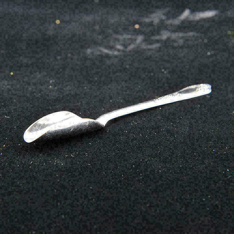 1pcs Stainless Steel Pet .Feeding Tool Water Milk Spoon For Bird Parrot Sup R1F2