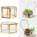 Geometric Terracotta Hexagon Glass Terracotta Succulent Planter Favors