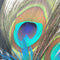 Bridal For Girls Jewelry Peacock Feather Head Accessories Daily Wedding Hair Pin