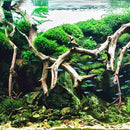 Landscape Wood Decor Driftwood Tree Aquarium Fish Tank Plant Stump Random Style