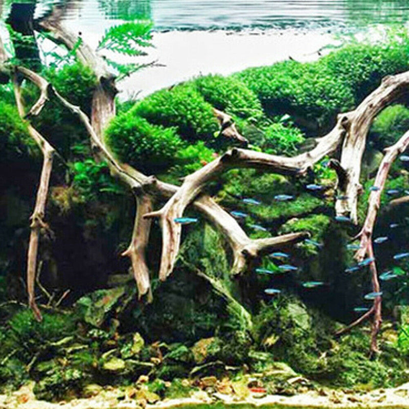 Landscape Wood Decor Driftwood Tree Aquarium Fish Tank Plant Stump Random Style