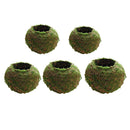 6~18cm Creative Moss Ball Flower Pot Planter Bonsai Plant Holder Home Garden, 5