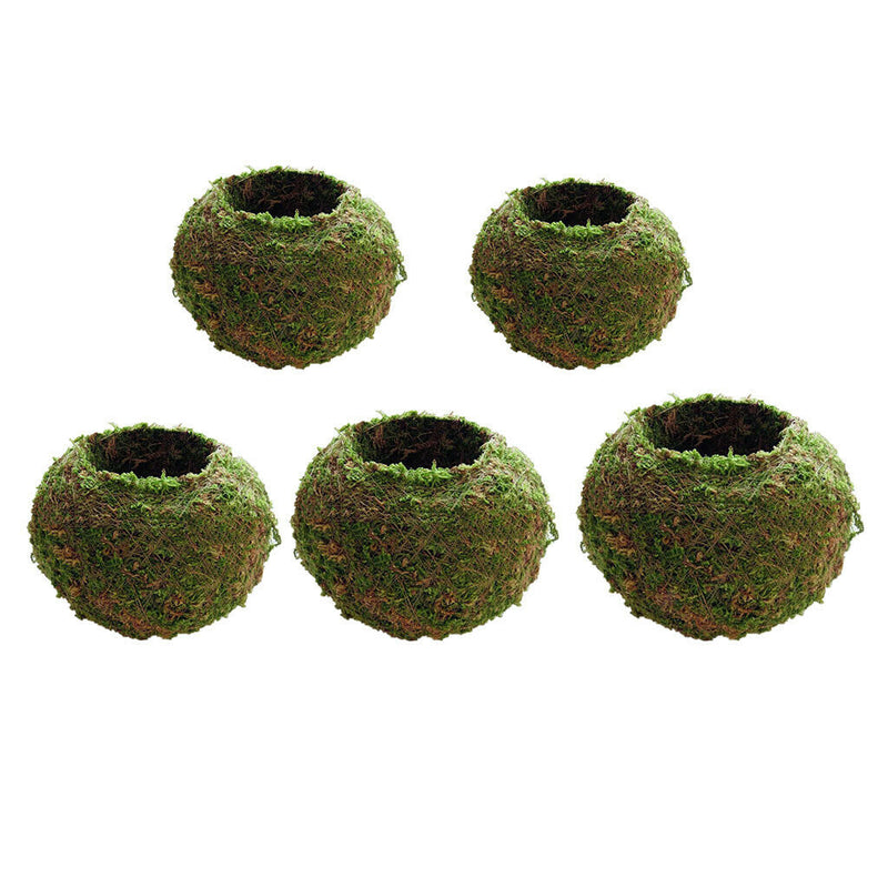 6~18cm Creative Moss Ball Flower Pot Planter Bonsai Plant Holder Home Garden, 5