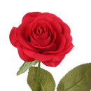Best Gift Red Silk Rose in Glass Dome with LED on a Base for Home Decoration