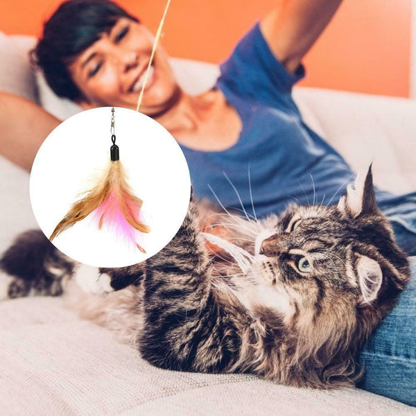 5pcs/set Pet Cats Retractable Cat Stick Teaser Wand with Replacement Heads #gib