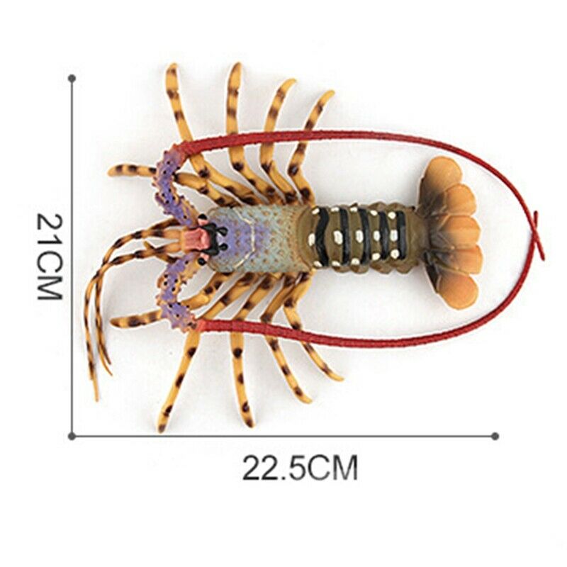 Realistic Solid Underwater World Animals Models Lifelike Large Size Lobster U4B9