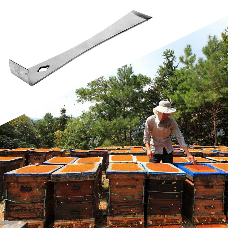 Stainless Steel Flat Beekeeper Scraper Beekeeping Equipment Tools Scraper