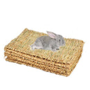 Rabbit Mat,Grass Mats For Rabbits,Safe & Edible Rabbit Mats For Cages,Bunny V7P9