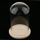 Glass Display Dome Cloche Bell Jar With Wooden Base for DIY Decoration