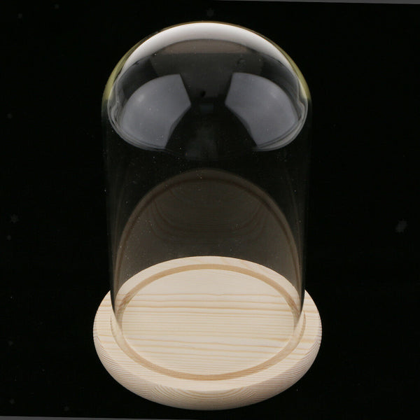 Glass Display Dome Cloche Bell Jar With Wooden Base for DIY Decoration #F