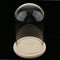 Glass Display Dome Cloche Bell Jar With Wooden Base for DIY Decoration #F