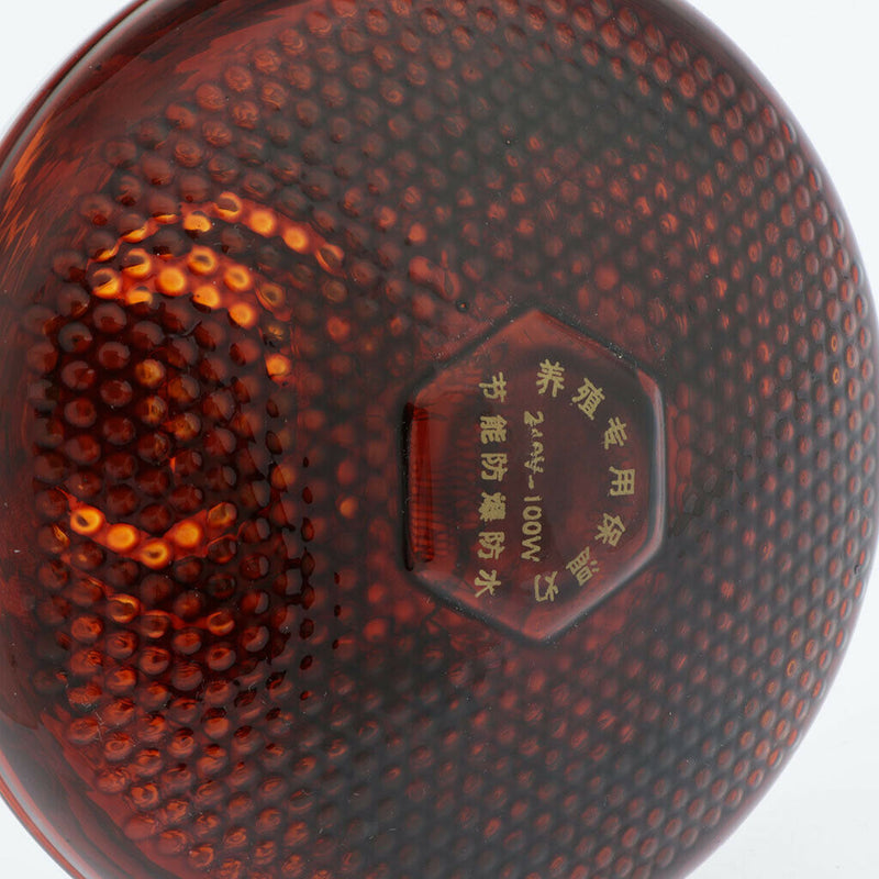 3x Reptile Infrared Heat Lamp Light Bulb For Reptile Turtle Snakes Chicken