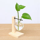 Glass Bub Vase Flower Plant Pot Terrarium Container for Home Party Wedding Decor