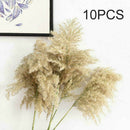 10 Pcs Natural Big Reed Grass Bunch Dried Flower Bouquet Wedding Decor 55cm Set
