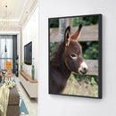 5D DIY Full Round Diamond Painting Donkey Rhinestones Cross Stitch (QF308) A