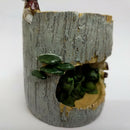 2Pcs Indoor Garden Plant Pot Holder Box Planter Succulent Sedum Flower Pot