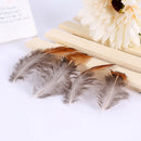 50pcs/set pheasant feathers 4-8cm chicken plumes for carnival diy craft de BX