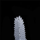 2pcs Leaves Metal Cutting Dies Stencils For Scrapbooking DIY Album Cards DecorMO