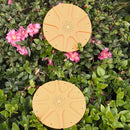 1 X Beekeeping beehive 8 WAY BEE ESCAPES Yellow