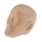 1/6 Scale Plastic Mannequins Head Sculpture Modes for 12inch Action Figures