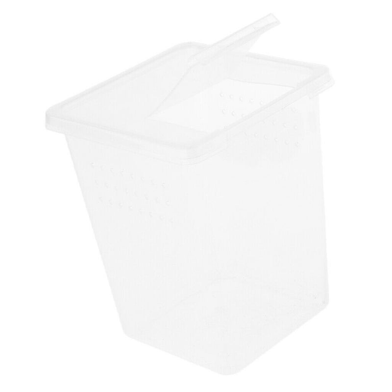 Plastic Insect Spider Habitat Feeding Box Container