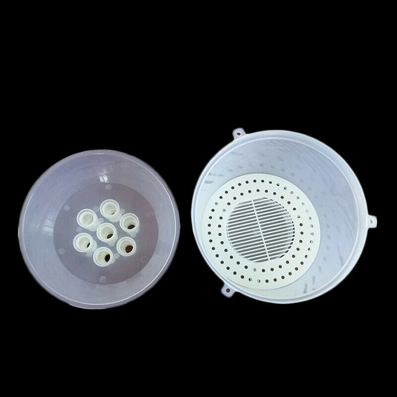 Bee Tools Hornet Trapper Fly Bug Catching Traps Wasp Catcher Hanging On Tre
