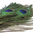 10x Natural Peacock Tail Eye Hair Feather Fly fishing Tying Flies Gift Stre H3G3