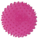 9 Inch Kids Knobby Bouncy Ball, Spiky Sensory Ball For Yoga Massage Sport - Pink