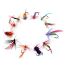 12pcs Fly Fishing Lure Set Style Insect Artificial Bait Feather Single Hook