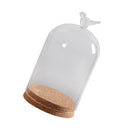 Bird Decorative Glass Dome with Wooden Base - Cloche Bell Jar Display 15cm