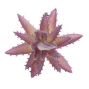 Lifelike Artificial Succulent Home Office DIY Unpotted Faux Foliage Plant