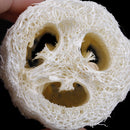 6Pcs Natural Loofah Luffa Loofa Spa Bath Sponge Kitchen Clean Scrubber Exotic ME