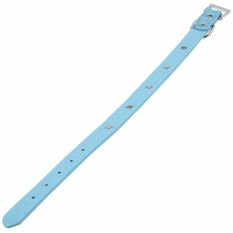 Pet Collar,Small Dog Collars Bling With Bone Necklace Puppy Cat (XS, blue 1 O6I1