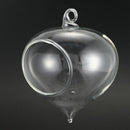 1Pc Cute Home Fashion Lantern Shape Clear Glass Flower Plant Hanging Vase P