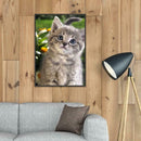 5D DIY Full Drill Diamond Painting Kitten Cross Stitch Embroidery Mosaic