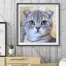 5D DIY Diamond Painting Cat Full Drill Embroidery Cross Stitch Art Picture