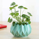 Minimalist Green Plant Hydroponic Vase Iron Holder Ceramic Scindapsus Conta