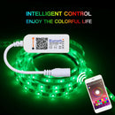 Mini Bluetooth/Wifi LED Controller&Remote For 5050 3528 RGB/RGBW LEDStripLightQ2