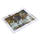 5D Diamond Painting Kits Full Drill Diamond Embroidery,30x25cm