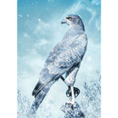 5D DIY Full Drill Diamond Painting Eagle Cross Stitch Mosaic Kit Wall Decor