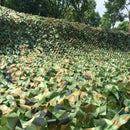 7MX1.5M Hunting Camouflage Net Woodland Training Camo Netting Car Covers Te