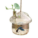 Mushroom-shaped Hanging Glass Planter Vase Rumble Fish Tank Terrarium Conta