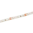 5M Waterproof 300 LED 3528 SMD Flexible LED Light Lamp Strip 12V (Blue) F8P8