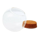 4Pcs Clear Glass Ball Shaped Cover Glass Cloche Globe Succulent Terrarium Bottle