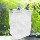 Acrylic Fish Tank Breeding Box Aquarium Double Guppies Hatching Incubator  A